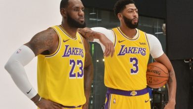 lebron james anthony davis